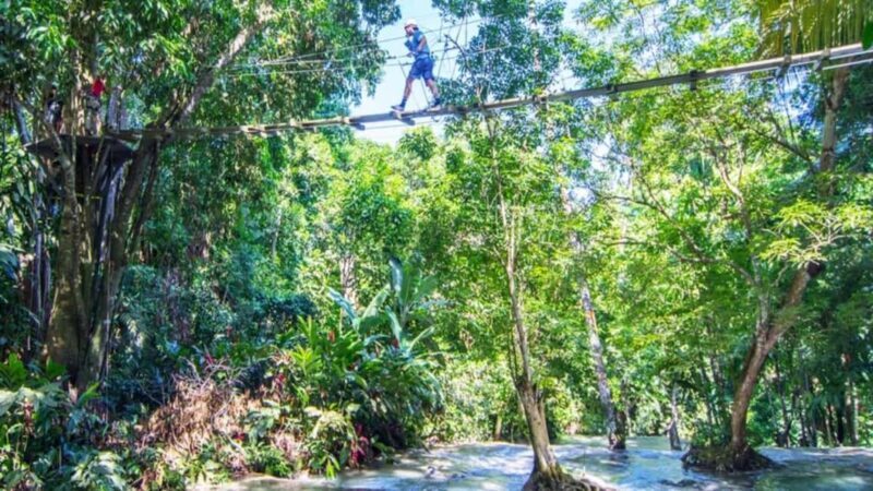 Ocho Rio: Dunns River Falls, Rafting, Horses & Ziplines Tour - Final Thoughts