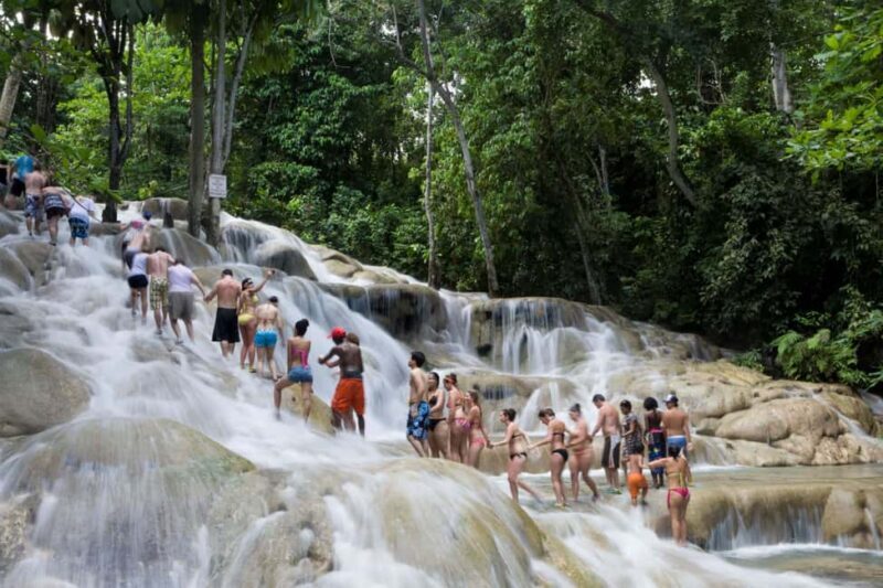 Ocho Rios: Bamboo Beach Club & Dunns River Falls - What to Expect from the Tour