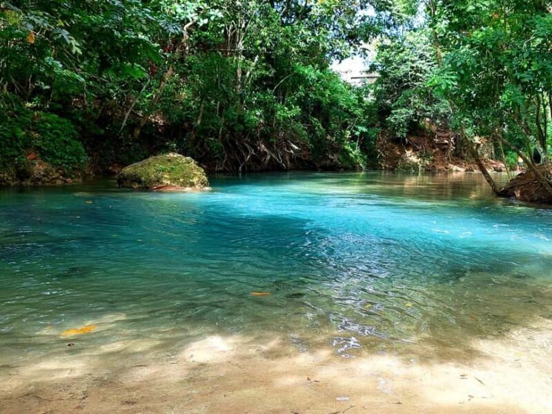 Ocho Rios: Blue Hole, Dunns River & Reggae Hill Guided Tour - Who this tour suits best