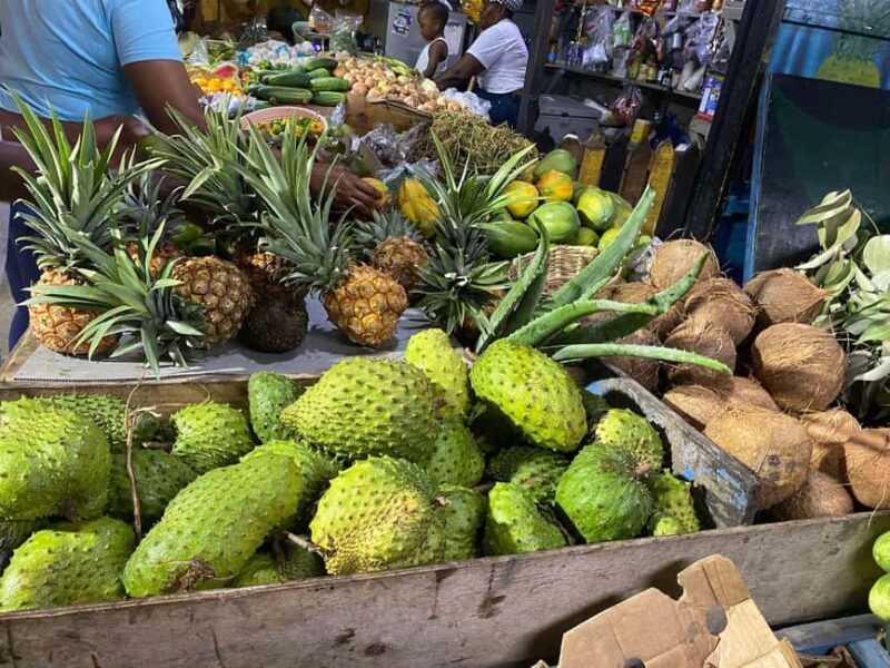 Ocho Rios: Countryside Sightseeing and taste of Jamaica - Final Thoughts