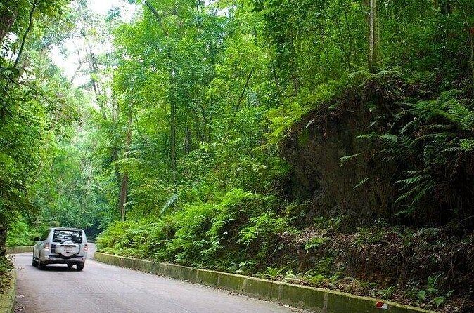 Ocho Rios Highlights and Shopping Tour - Transportation & Logistics