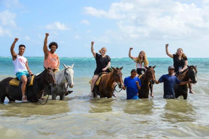 Ocho Rios: Horseback Ride and Swim Adventure - What Makes This Tour Special?