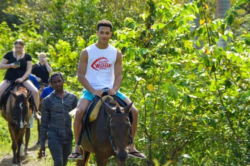 Ocho Rios: Horseback Ride and Swim Adventure - Why This Tour Is a Great Choice
