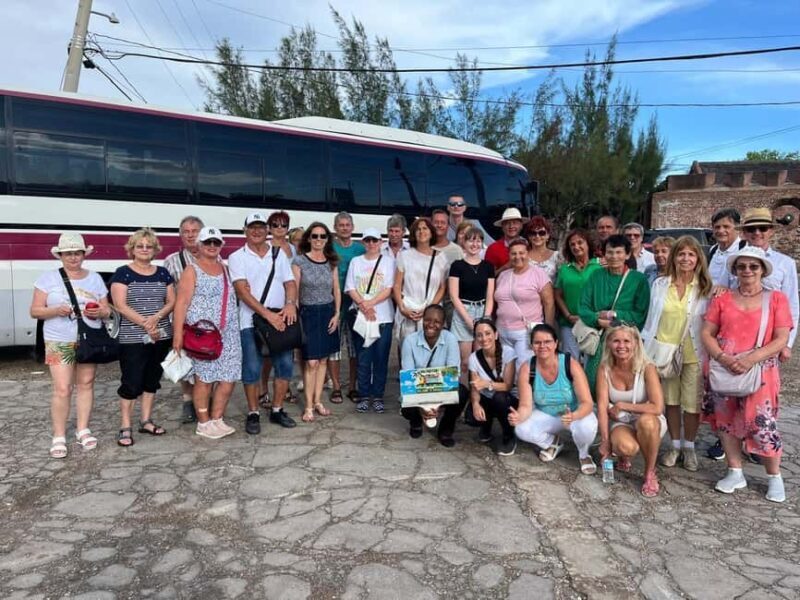 Ocho Rios: Konoko Falls, Fern Gully, and Shopping Tour - Detailed Review of the Ocho Rios Tour