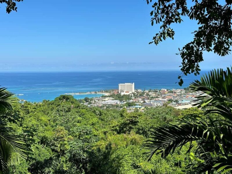 Ocho Rios: Konoko Falls, Fern Gully, and Shopping Tour - The Sum Up