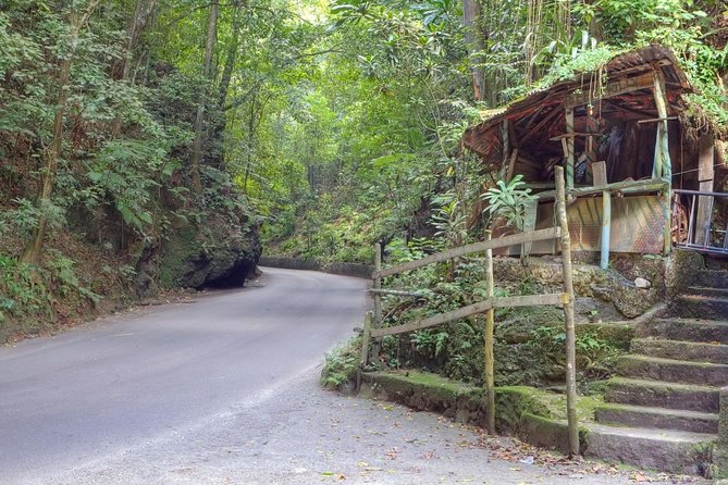 Ocho Rios Shore Excursion: Bus Tour of Ocho Rios, Fern Gully and Turtle Beach - Tour Overview