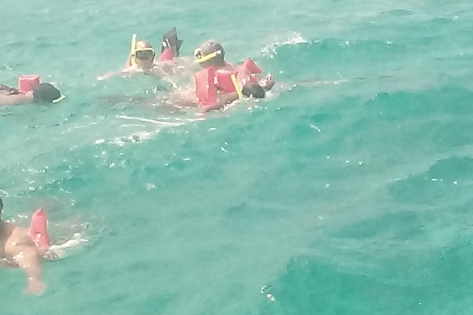 Ocho Rios Shore Excursion: Private Snorkel Tour - Output: