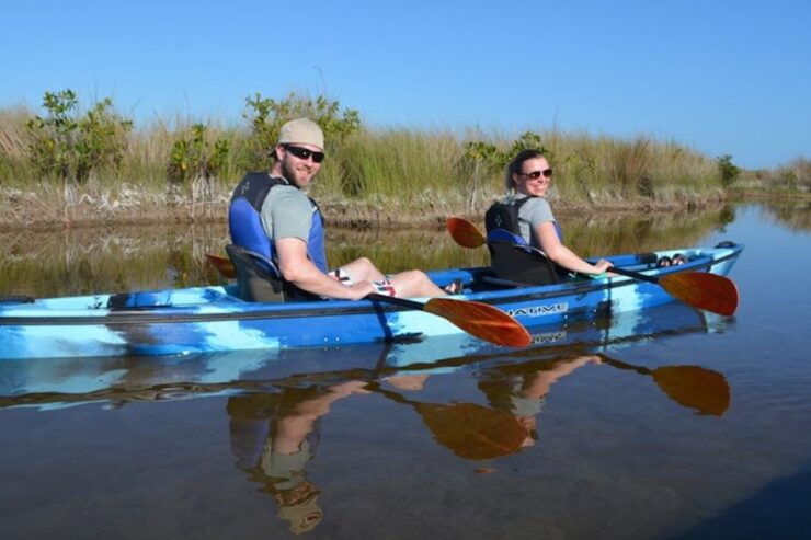 Ochopee: Half-Day Mangrove Tunnel Kayak Tour - Experience Highlights