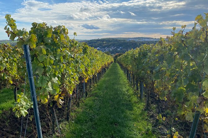 Ochsenfurt: Wine Tour "Towers & Wine" - Reviews and Additional Information