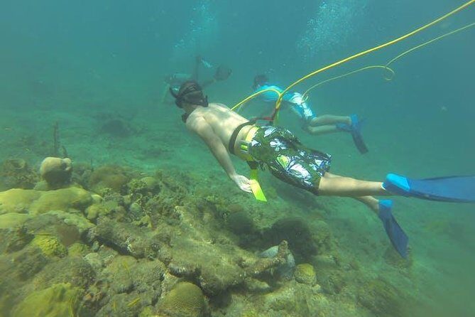 OCTOPUS DIVING (hookah diving) NO Experience Needed - Good To Know