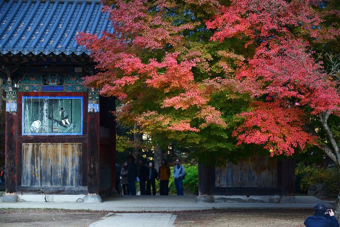 Odaesan National Park Autumn Foliage Tour - Odaesan National Park: An Overview
