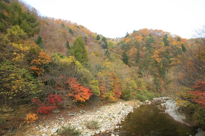 Odaesan National Park Hiking Day Tour: Explore Autumn Foliage Korea - Experiencing Autumn Colors in Odaesan National Park