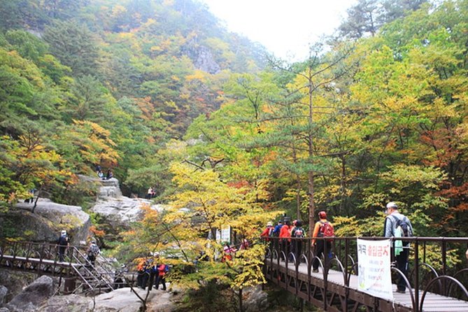 Odaesan National Park Hiking Day Tour: Explore Autumn Foliage Korea - Positive Reviews and Testimonials