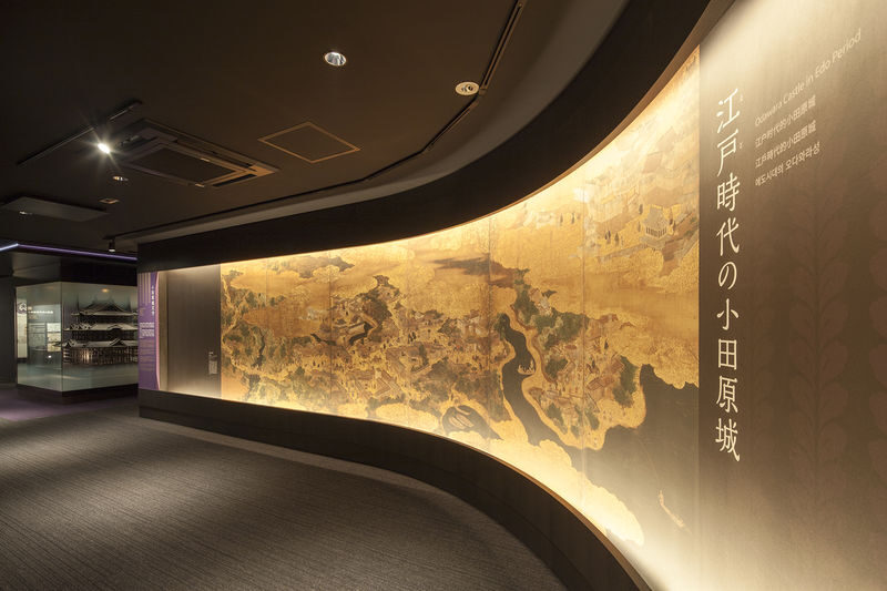 Odawara Castle Admission Ticket in Kanagawa - The view from the top is the payoff