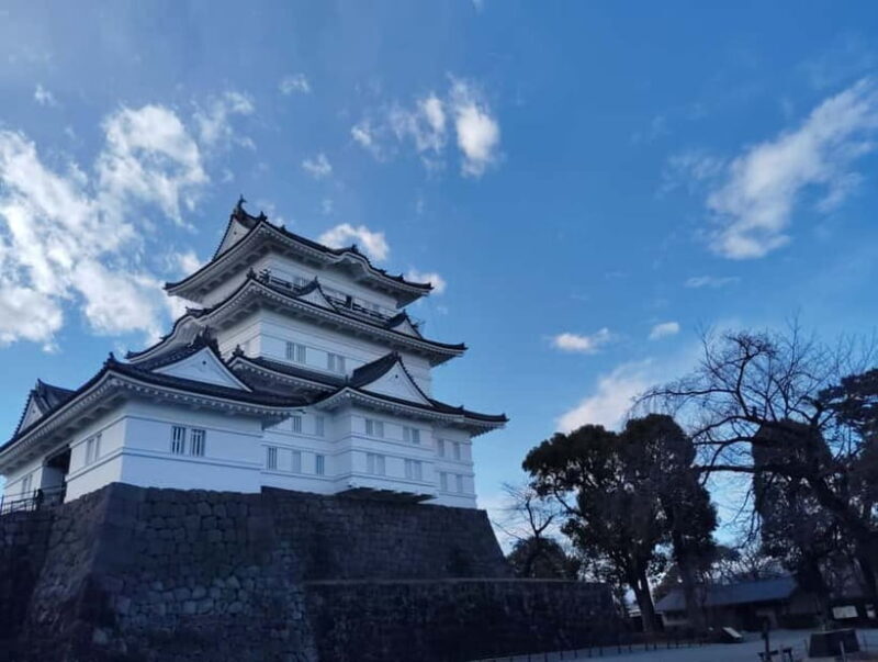Odawara: Castle Guided Tour with Panoramic Views - Exploring Odawara Castle: A Deep Dive