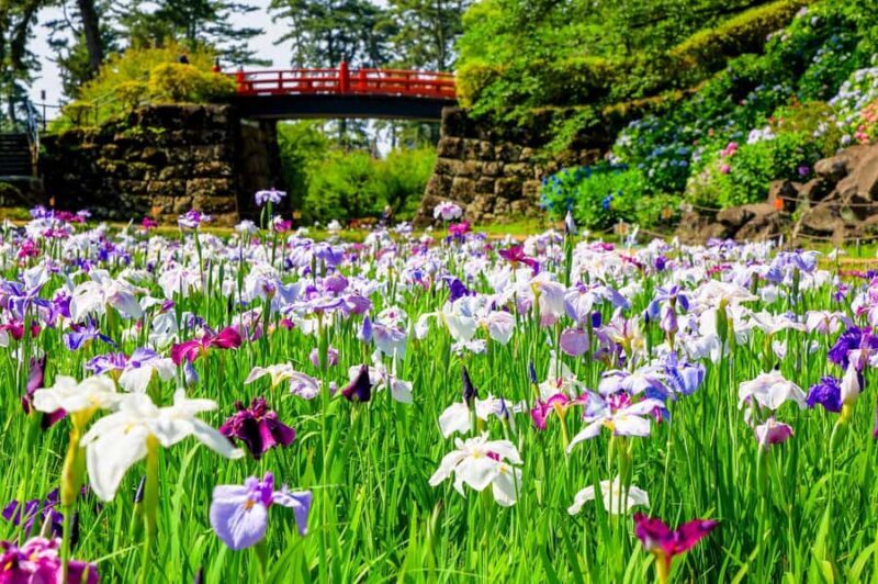 Odawara: Guided Ninja & Samurai Tour of Odawara Castle - Good To Know