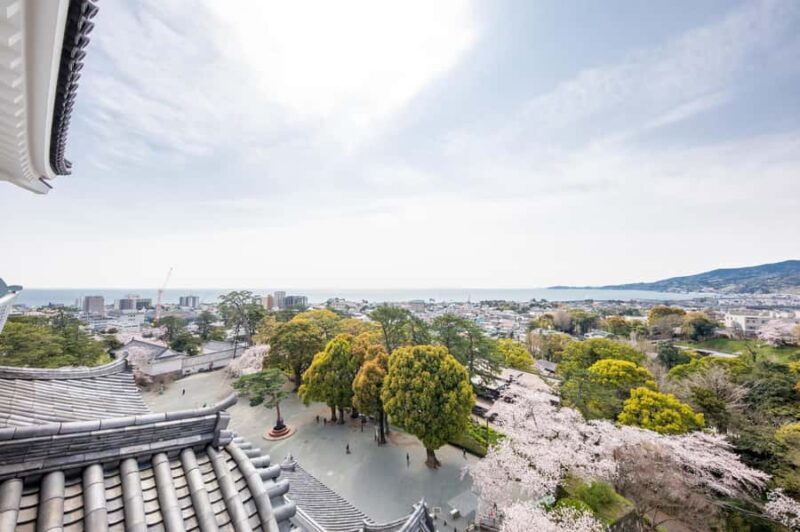 Odawara: Guided Ninja & Samurai Tour of Odawara Castle - Final Thoughts