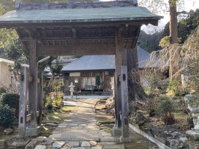 Odawara: Zazen Meditation and Tea Ceremony With Lunch - Cultural Significance of Matcha