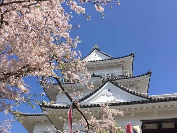Odawara: Zazen Meditation and Tea Ceremony With Lunch - Planning Your Visit