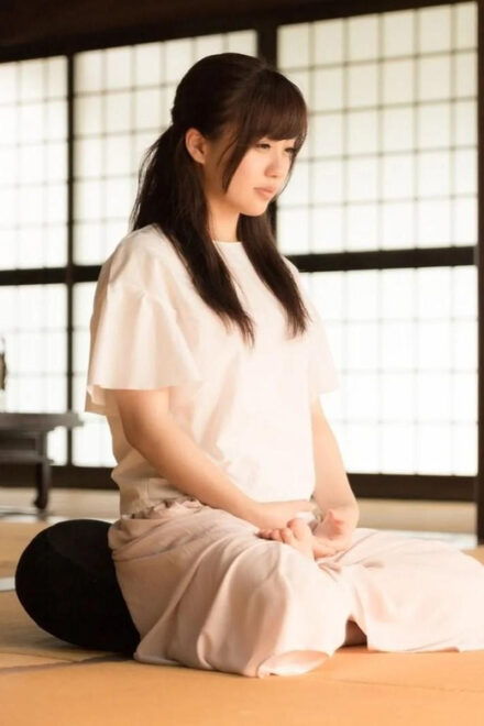 Odawara: Zazen Meditation, Shojin Ryori, and Tea Ceremony - Shojin Ryori Cuisine