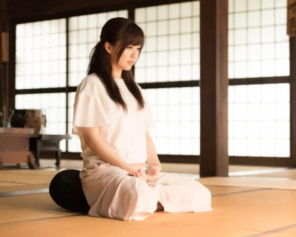 Odawara: Zazen Meditation, Shojin Ryori, and Tea Ceremony - Immersive Cultural Encounter