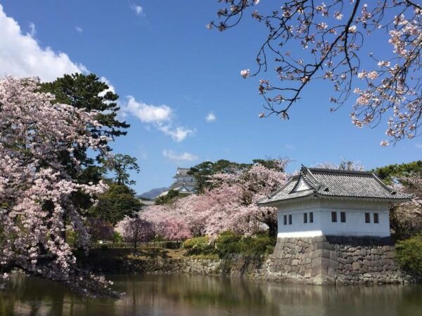 Odawara: Zazen Meditation, Shojin Ryori, and Tea Ceremony - Frequently Asked Questions