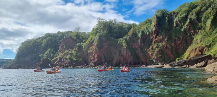 Oddicombe: Wildlife, Bushcraft and Sea Cave Kayak Safari - Price and Value Analysis