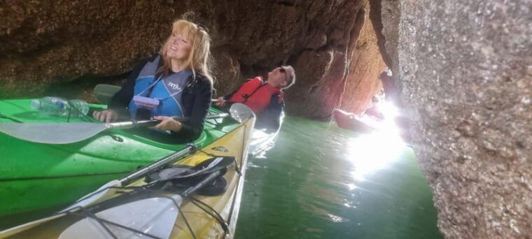 Oddicombe: Wildlife, Bushcraft and Sea Cave Kayak Safari - Who Will Love This Tour?