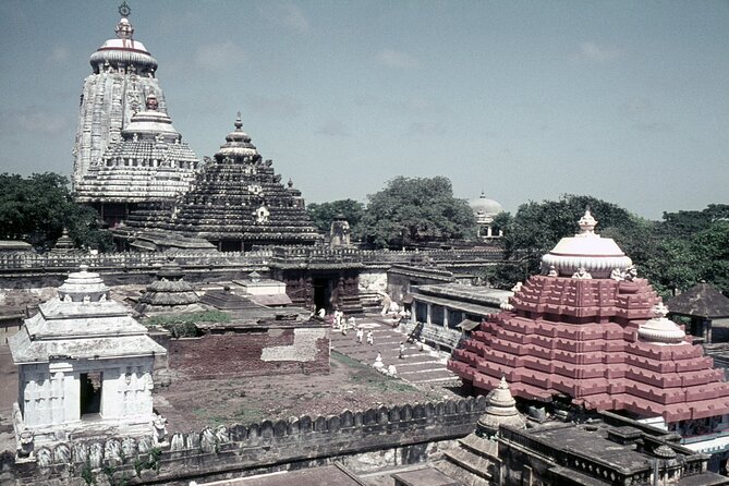 Odisha Temples and Cultural Tour - Tour Itinerary Highlights