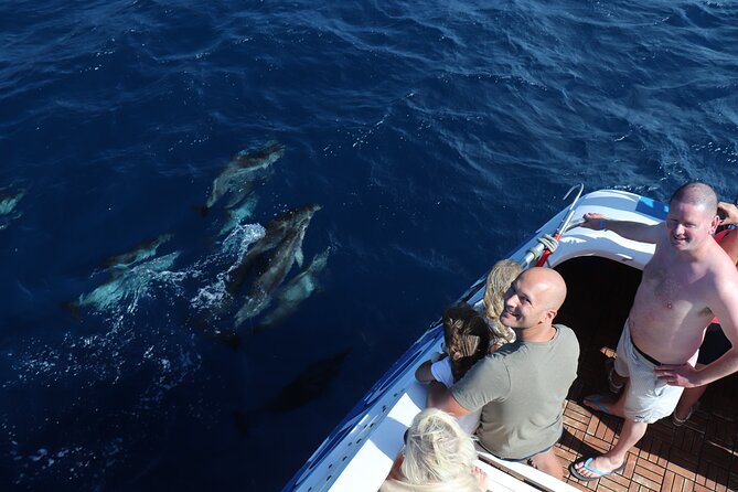 Odyssey 3: El Recorrido En Barco Con Fondo De Cristal En Fuerteventura - Booking and Cancellation Policy