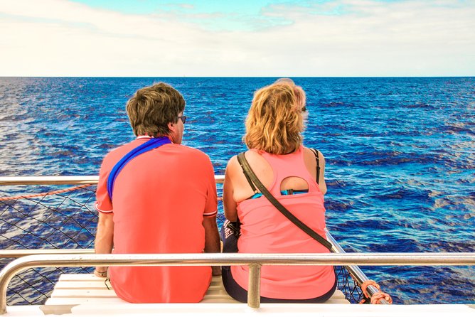 Odyssey 3: El Recorrido En Barco Con Fondo De Cristal En Fuerteventura - Wildlife Sightings and Marine Life Information