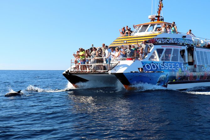 Odyssey 3: El Recorrido En Barco Con Fondo De Cristal En Fuerteventura - The Sum Up