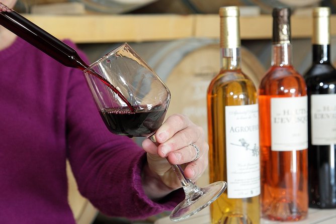 Oenological Animation 'From the Vine to the Wine' - Wine Pairing: Enhancing the Culinary Experience