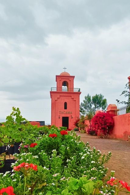 Oenological Route: Tacama, Pisco Museum and Pisco Sour Class - Experience Highlights