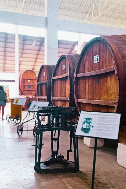 Oenological Route: Tacama, Pisco Museum and Pisco Sour Class - Activity Highlights