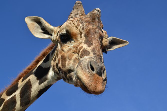 Of Monterrey Biopark Star - Good To Know