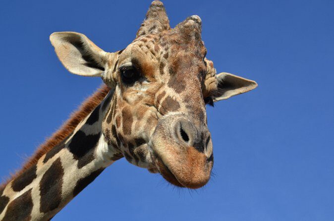 Of Monterrey Biopark Star - FAQ