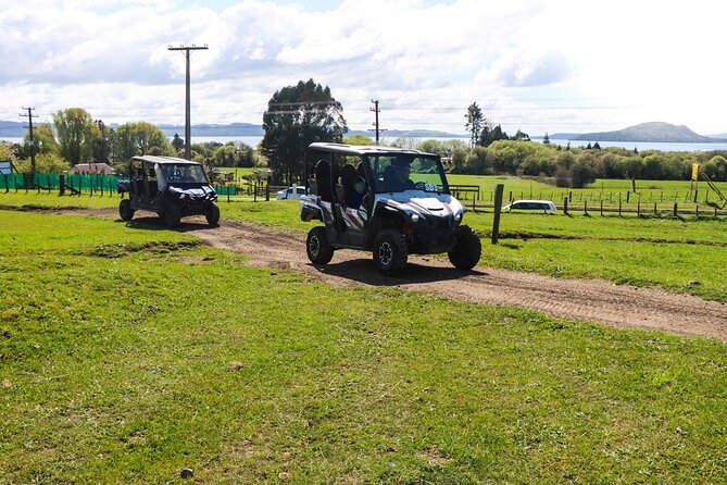 Off-Road 4WD Buggy Adventure From Rotorua - Booking and Availability