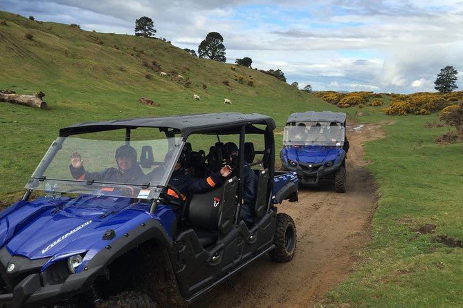 Off-Road 4WD Buggy Adventure From Rotorua - Overview of the Tour