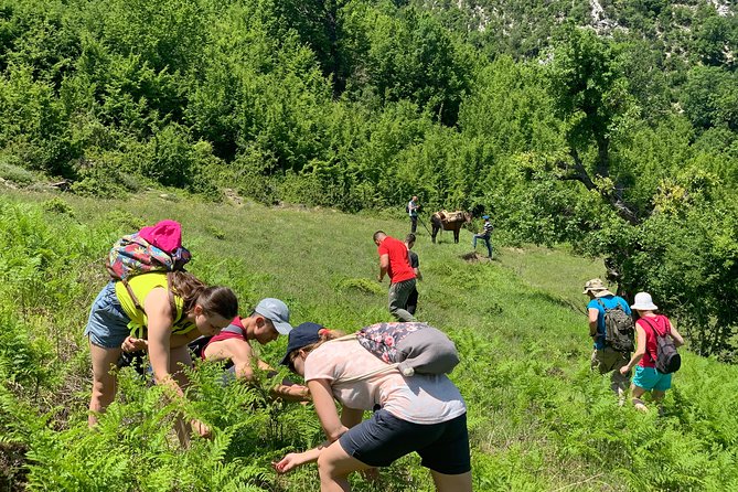 Off Road Albania Tours Osumi Canyon to Vjosa River, Përmet (ARG) - Whats Excluded