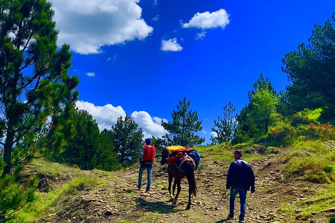 Off Road Albania Tours Osumi Canyon to Vjosa River, Përmet (ARG) - Customer Reviews