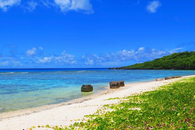 Off-Road Buggy Adventure - FAQ