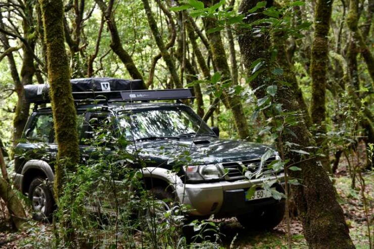 Off Road Experience- Drive a off Road Car on the Mountains - Good To Know