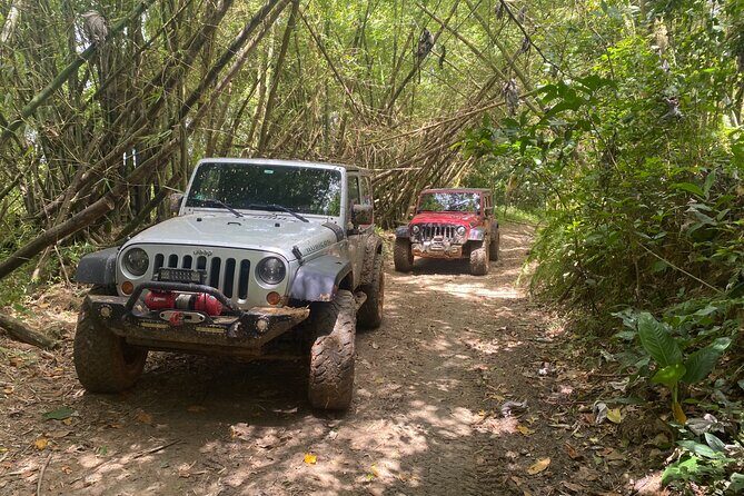 Off-Road Jeep Adventure from Carolina - Good To Know