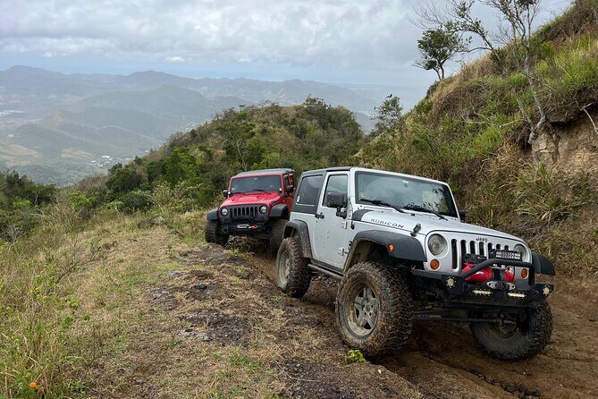 Off-Road Jeep Adventure from Carolina - Why You Should Consider This Tour