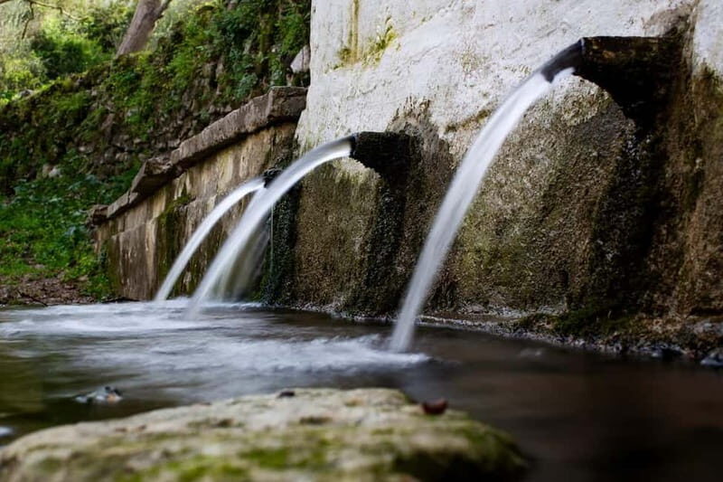 Off-Road: Natural Lake, Mountain Gorges, Palm Forest & Beach - Introduction