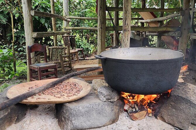 Off Road Punta Cana Jeep Safari Adventure Tour - An In-Depth Look at the Itinerary