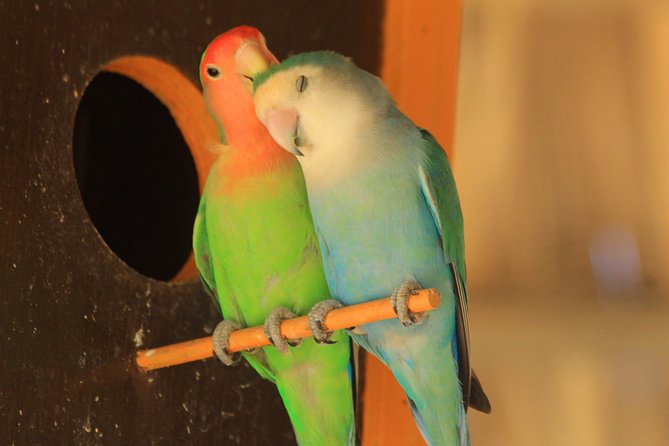 Off-Road Runners ATV Tour in Los Cabos - Pricing and Booking Information