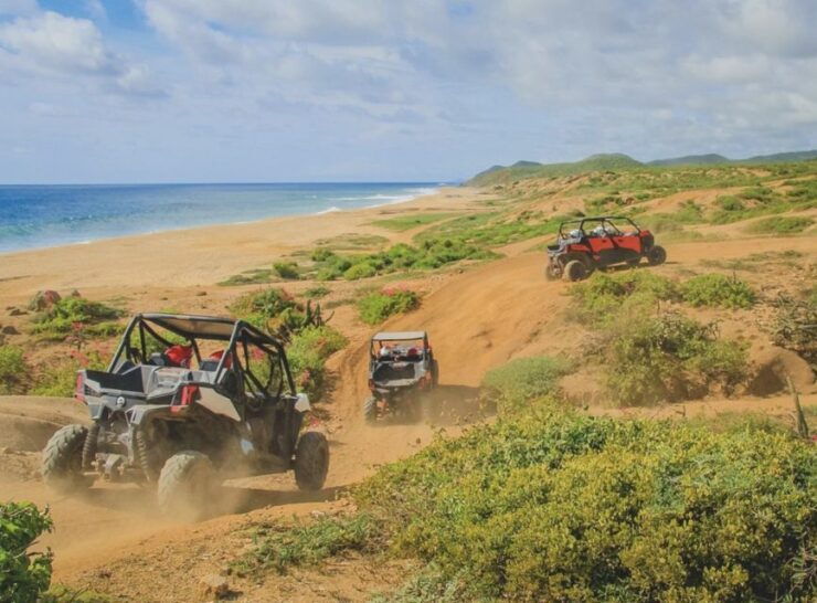 Off-Road Side by Side Tour and Tacos - Experience