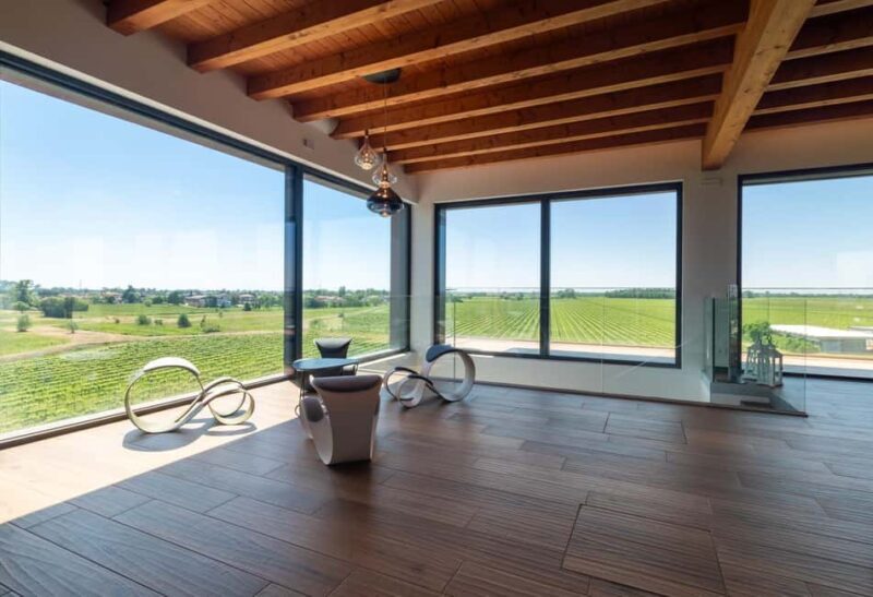 Off-road tour through vineyards and organic wine tasting Villa Bogdano 1880 - Good To Know